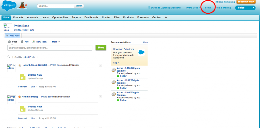 Salesforce-setup1